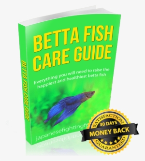 What - Ihip Light-up Bluetooth Headphones, Black #996114