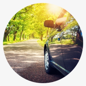 Car Driving Down Tree Lined Road Roundel - Car #996439