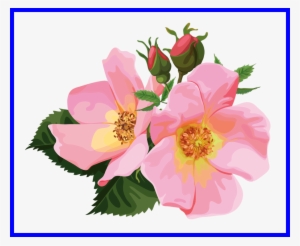 Shocking Png Flower Art - Floral Clipart Transparent #997223