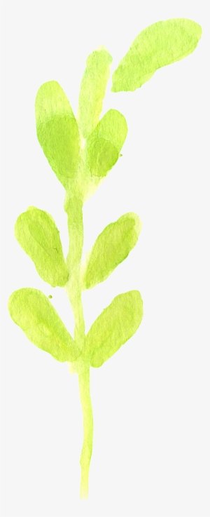 1 2 - Watercolor Painting #997677