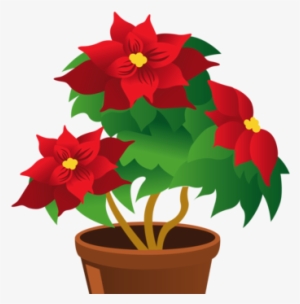 Christmas Memorial Greenery And Flowers - Flower Pot Clipart Png #997841