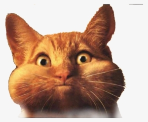 Fat Cat Png Transparent #997870