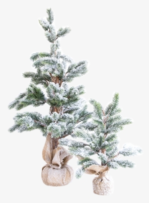 Faux Snowy Pine Tree 2 - Pine #998318 Faux Snowy Pine Tree 2 - Pine #998318