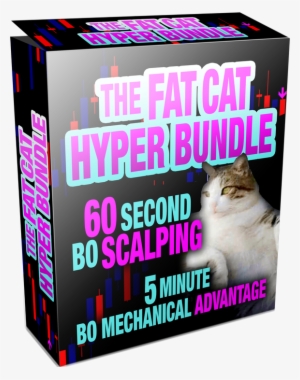 Get The Fat Cat Hyper Bundle Now, And See For Yourself, - Asian #998379