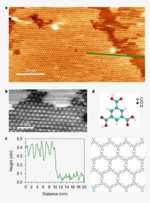 Heterostructures Of Cam And Tma - Colorfulness #999821