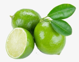 Lime #999869