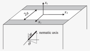 Sketch Of The Nematic Elastomer Under Striped Illumination - Diagram #999893