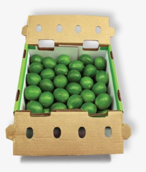 Limes - Pony Box - Limes In Boxes #999957