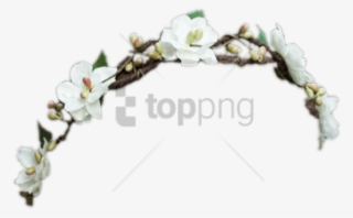 Free Png Download Black Flower Crown Transparent Png - Twig #9900784