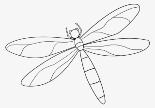 Dragonfly Drawing Basic - Dragonfly #9901079
