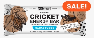Organic Cricket Energy Bar - Crickets Bars #9902205