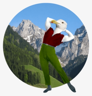 Birdman - Sveicarijos Vaizdai #9902393