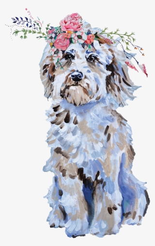 Yorkshire Terrier #9902756