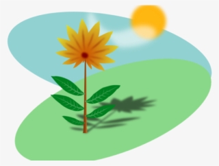 Sunshine Clipart Summer - Clipart Sunlight To Plants #9904254