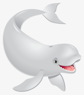 Beluga Whale - Wholphin #9905173