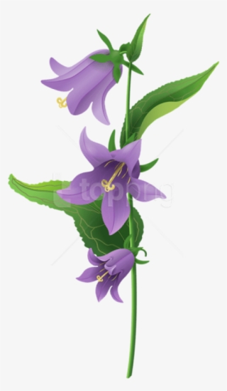 Free Png Download Wild Purple Bell Flower Png Images - Bell Flower Png #9905265