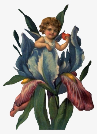 Cherub In Iris Ldm - Eu Sou Assim #9909035