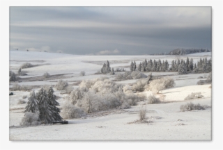 Snow #9910712