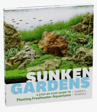 Sunken Gardens, A Step By Step Guide To Planting Freshwater - Sunken Garden Pdf #9911324
