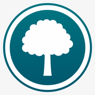 Tree Program Icon - Circle #9911677