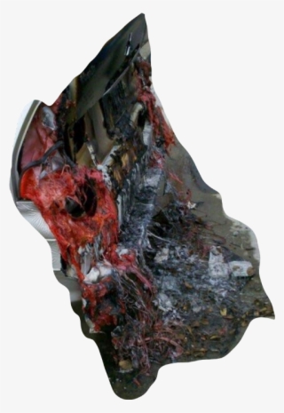 Car Sex Accident #9912061