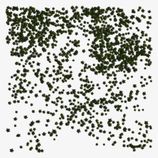 06 Feb 2009 - Illustration #9912103