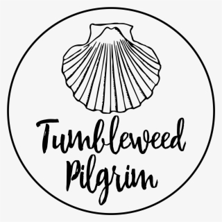 Seashells Clipart Black And White #9913242