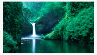 Score 50% - Best Seen #9914847