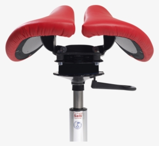 Salli Swing - Rear View - Salli Swing #9915255