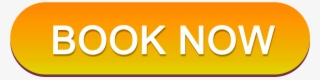 Ready For An Amazing Tour - Amber #9917047