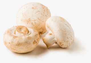 Braised Mushrooms - Champignon Mushroom #9917781