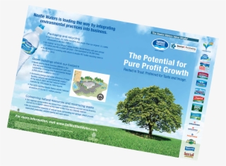 Nestle Waters Thumbnail - Flyer #9917985